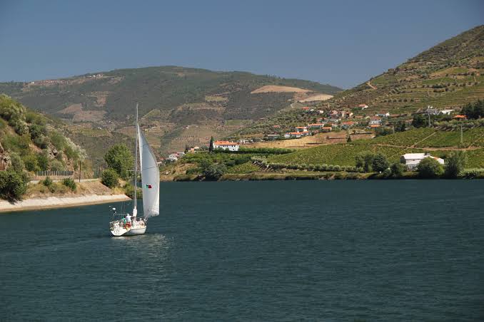 Um veleiro no Rio Douro sob os socalcos de vinha do Vale do Douro